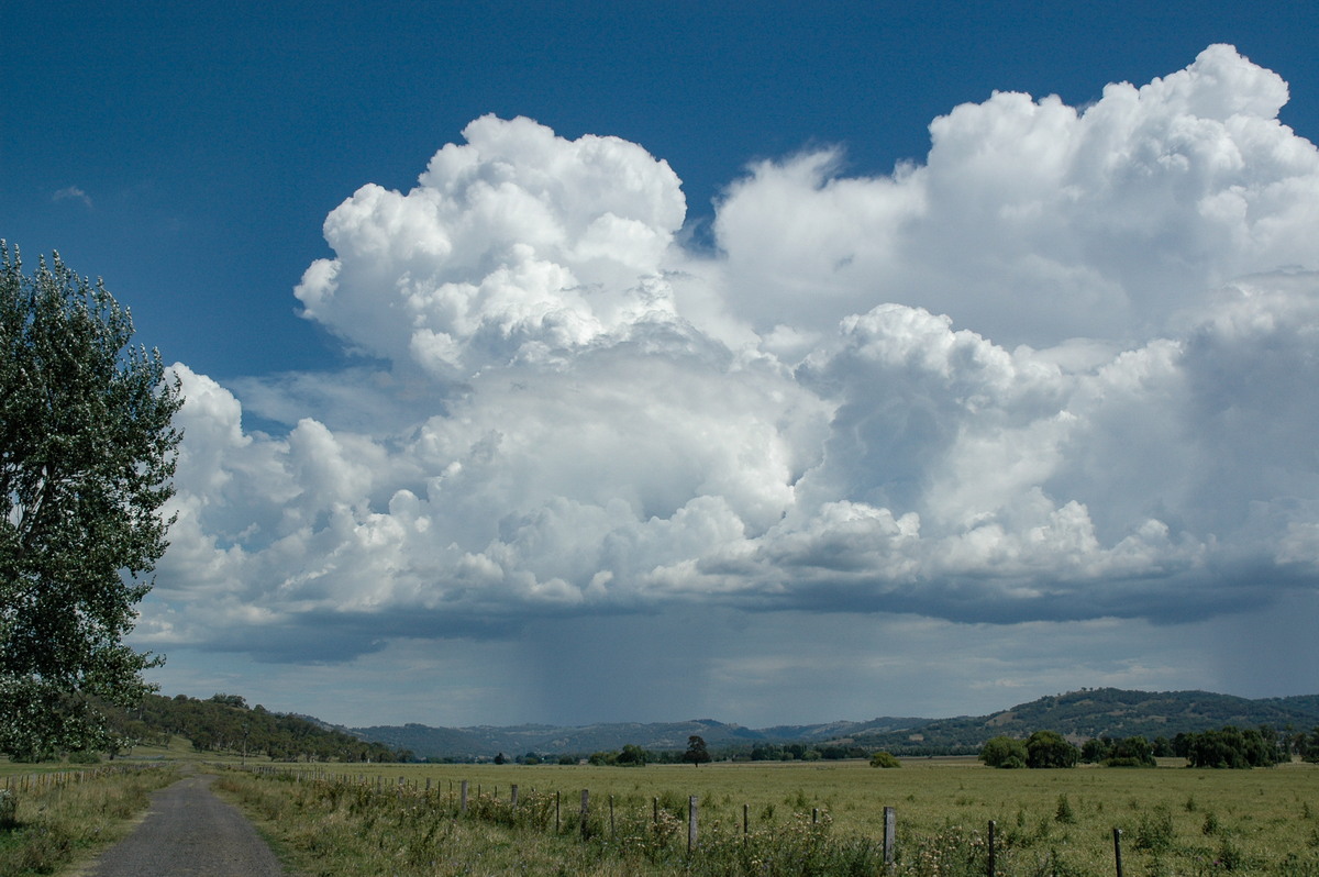 thunderstorm cumulonimbus_calvus : near Glen Innes, NSW   4 February 2006
