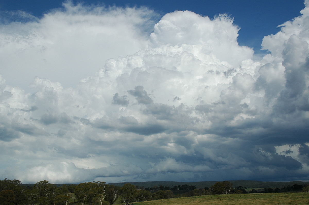 thunderstorm cumulonimbus_calvus : near Glen Innes, NSW   4 February 2006