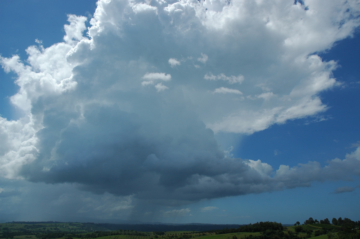 thunderstorm cumulonimbus_calvus : McLeans Ridges, NSW   17 February 2006