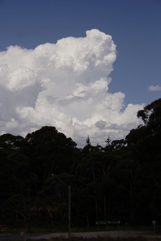 thunderstorm cumulonimbus_calvus : near Bell, NSW   18 February 2006