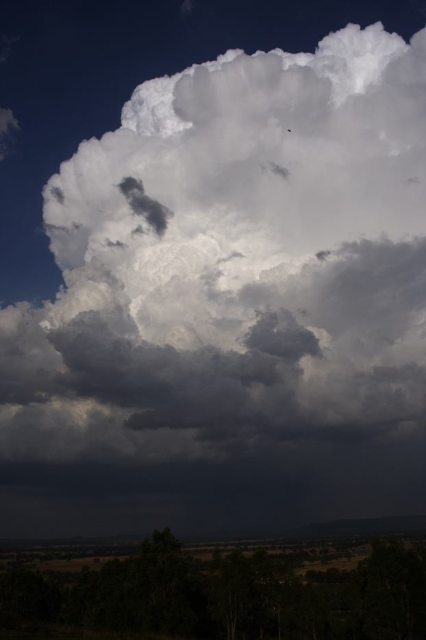 thunderstorm cumulonimbus_incus : Gulgong, NSW   20 February 2006