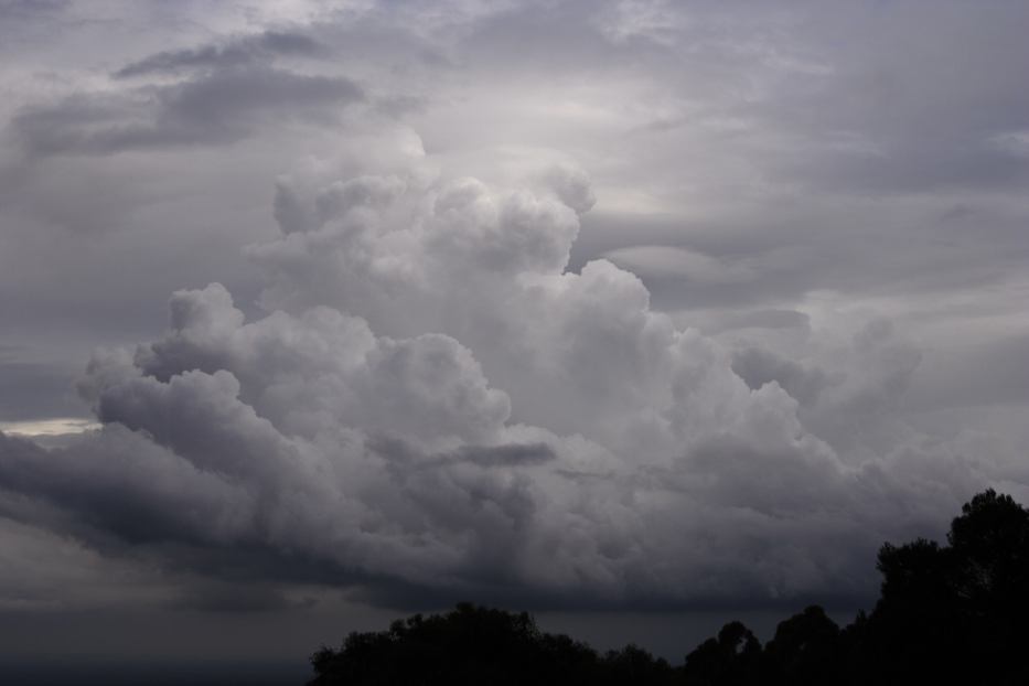 thunderstorm cumulonimbus_calvus : Kurrajong Heights, NSW   26 February 2006