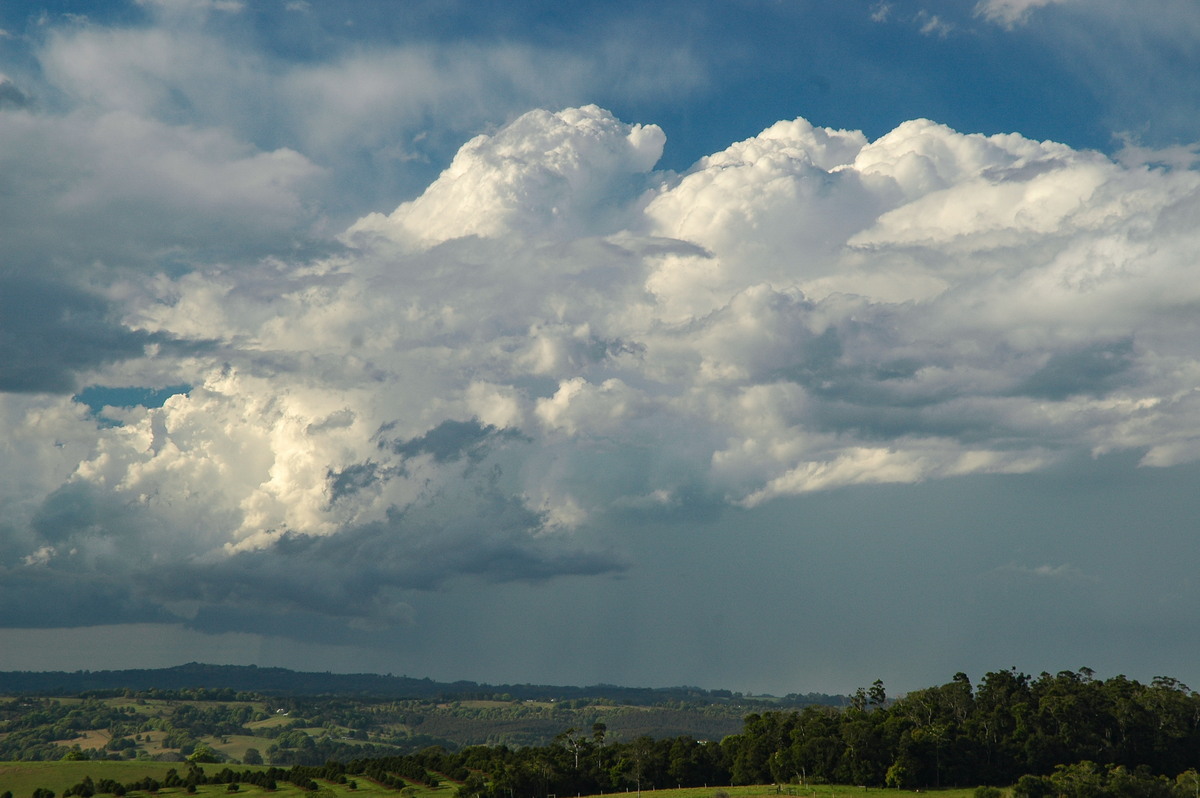 thunderstorm cumulonimbus_calvus : McLeans Ridges, NSW   4 September 2006