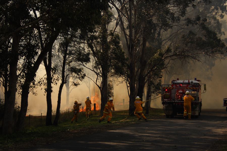 bushfire wild_fire : Scheyville, NSW   24 September 2006
