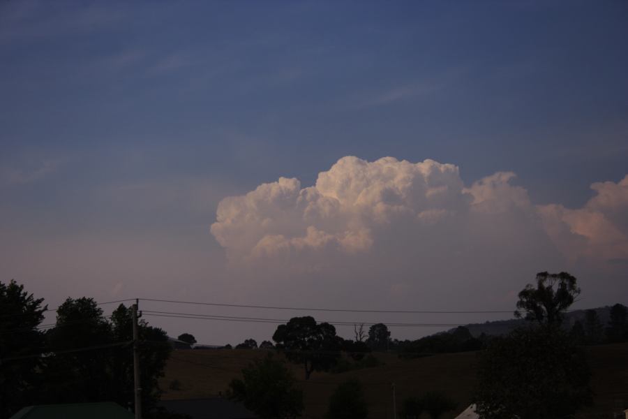 thunderstorm cumulonimbus_calvus : Lithgow, NSW   26 November 2006