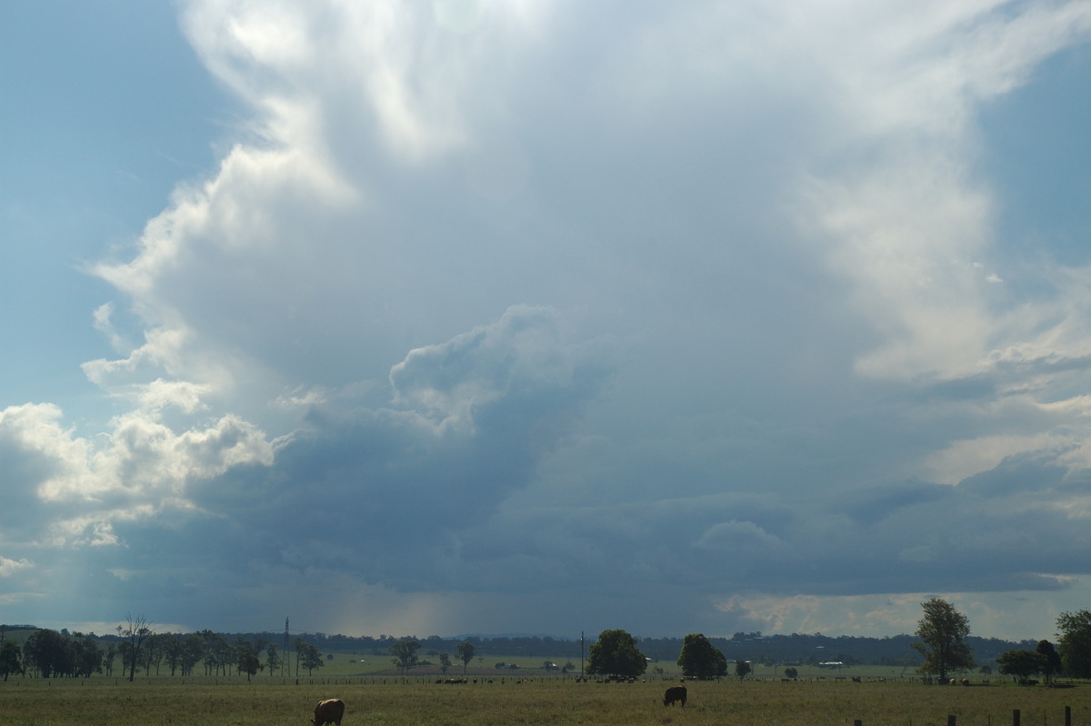 thunderstorm cumulonimbus_incus : near Grafton, NSW   26 January 2007