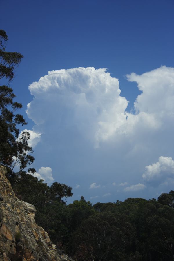 thunderstorm cumulonimbus_incus : Kurrajong Heights, NSW   3 February 2007