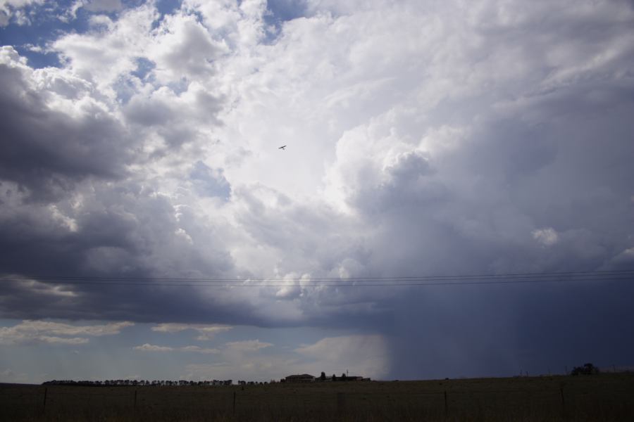 raincascade precipitation_cascade : E of Bathurst, NSW   3 February 2007