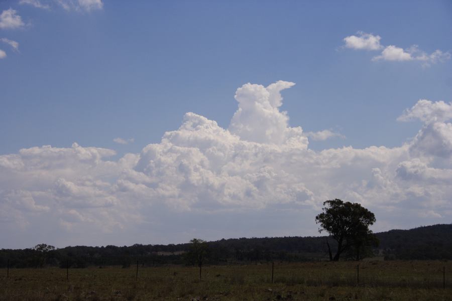 thunderstorm cumulonimbus_calvus : N of Dunedoo, NSW   11 February 2007