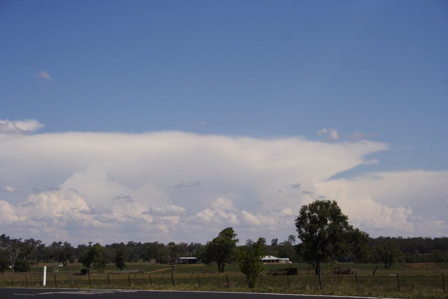 anvil thunderstorm_anvils : Dunedoo, NSW   11 February 2007