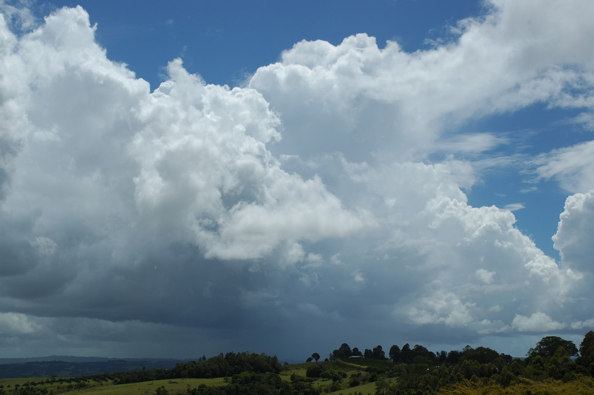 thunderstorm cumulonimbus_calvus : McLeans Ridges, NSW   14 February 2007