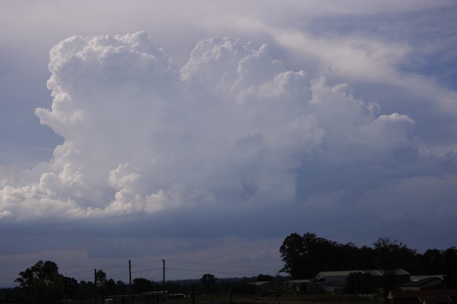 thunderstorm cumulonimbus_calvus : Schofields, NSW   19 February 2007