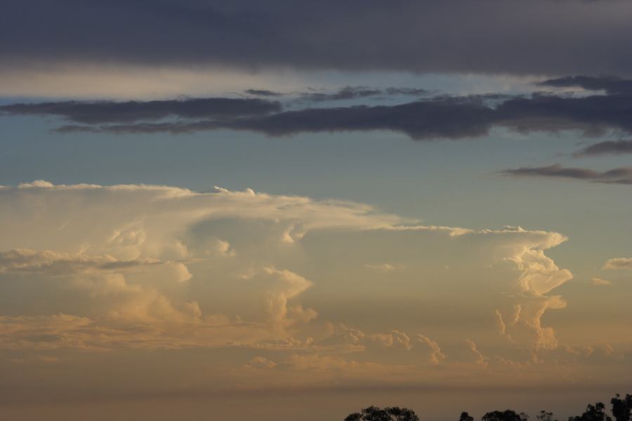 thunderstorm cumulonimbus_incus : Schofields, NSW   22 February 2007