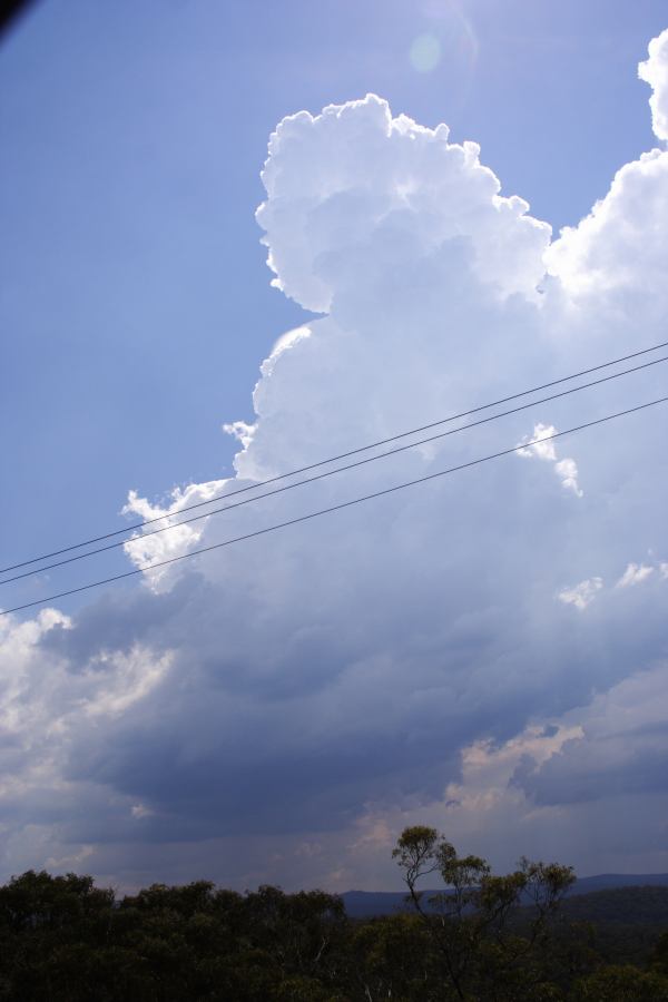 thunderstorm cumulonimbus_calvus : Bilpin, NSW   24 February 2007