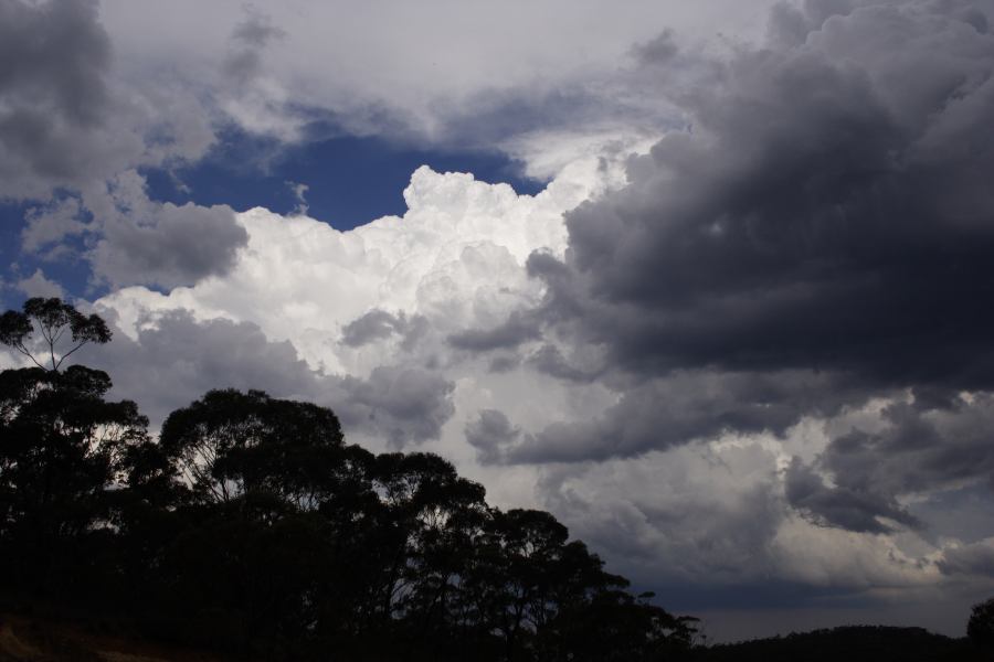 thunderstorm cumulonimbus_calvus : Bell, NSW   24 February 2007