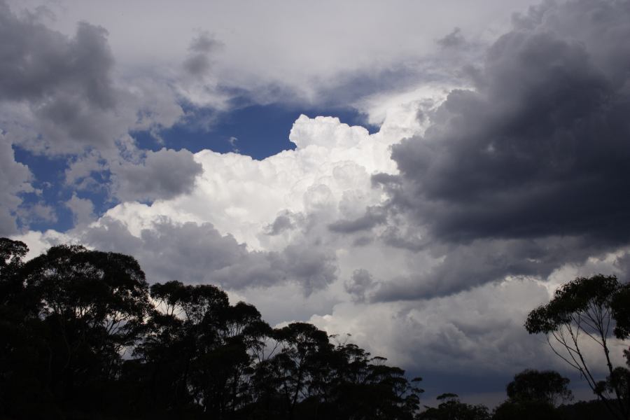 thunderstorm cumulonimbus_calvus : Bell, NSW   24 February 2007