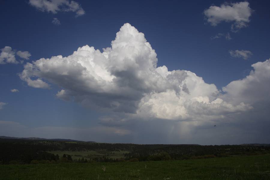 cumulus mediocris : near Devil's Tower, Wyoming, USA   18 May 2007