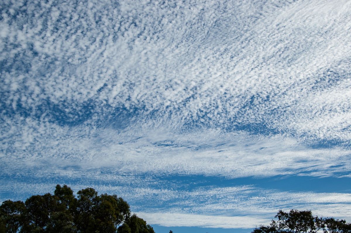 cirrocumulus cirrocumulus_cloud : McLeans Ridges, NSW   3 April 2008
