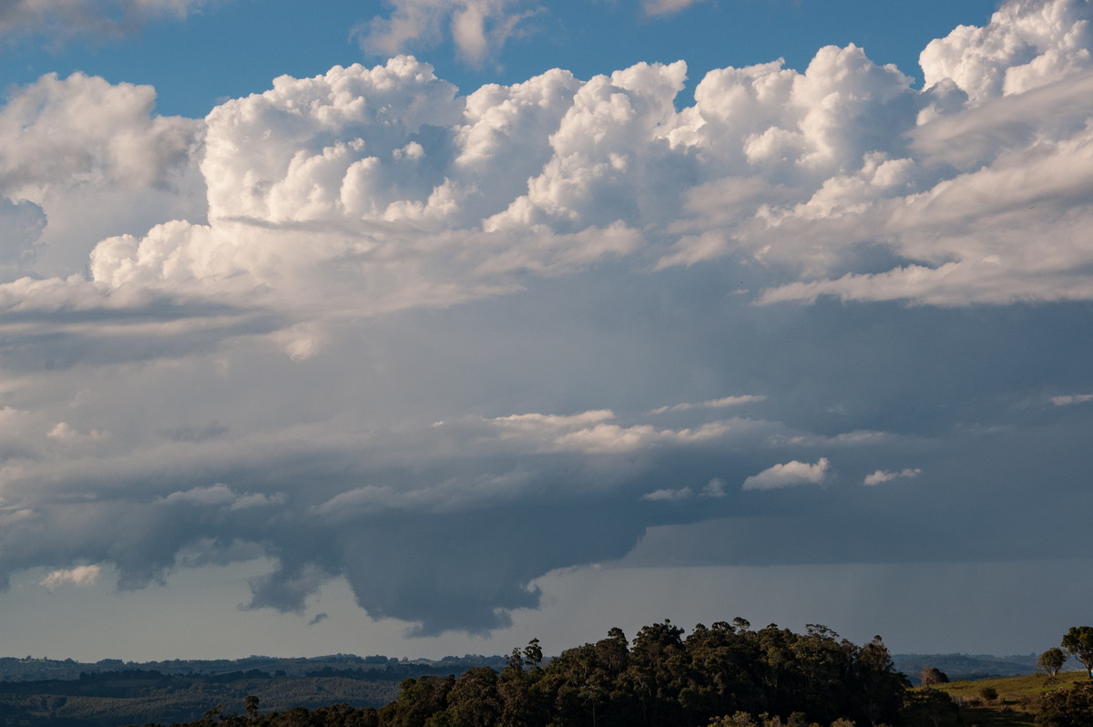 cumulonimbus thunderstorm_base : McLeans Ridges, NSW   20 June 2008