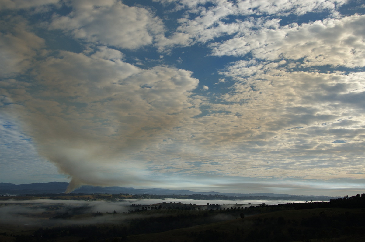 bushfire wild_fire : McLeans Ridges, NSW   4 August 2008