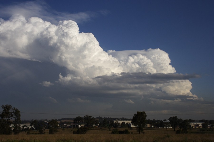 thunderstorm cumulonimbus_calvus : near Muswellbrook, NSW   5 October 2008
