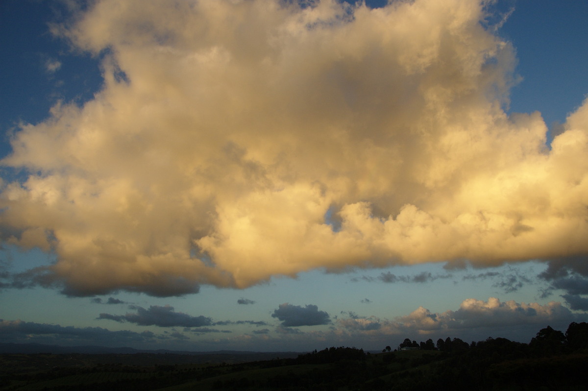 cumulus mediocris : McLeans Ridges, NSW   11 November 2008