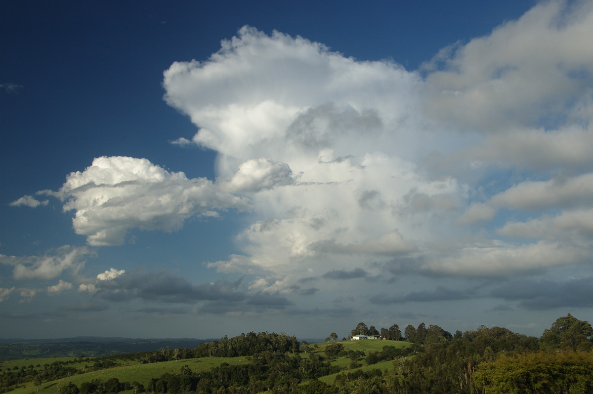 thunderstorm cumulonimbus_incus : McLeans Ridges, NSW   19 December 2008