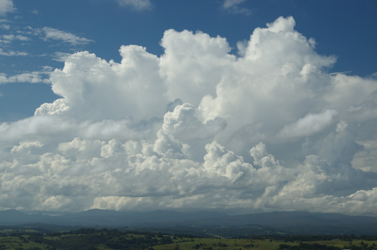 thunderstorm cumulonimbus_calvus : McLeans Ridges, NSW   23 January 2009