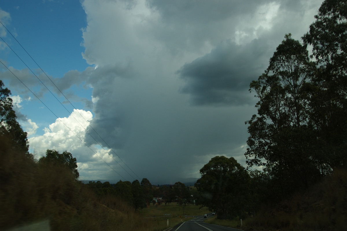 raincascade precipitation_cascade : Tabulam, NSW   24 January 2009