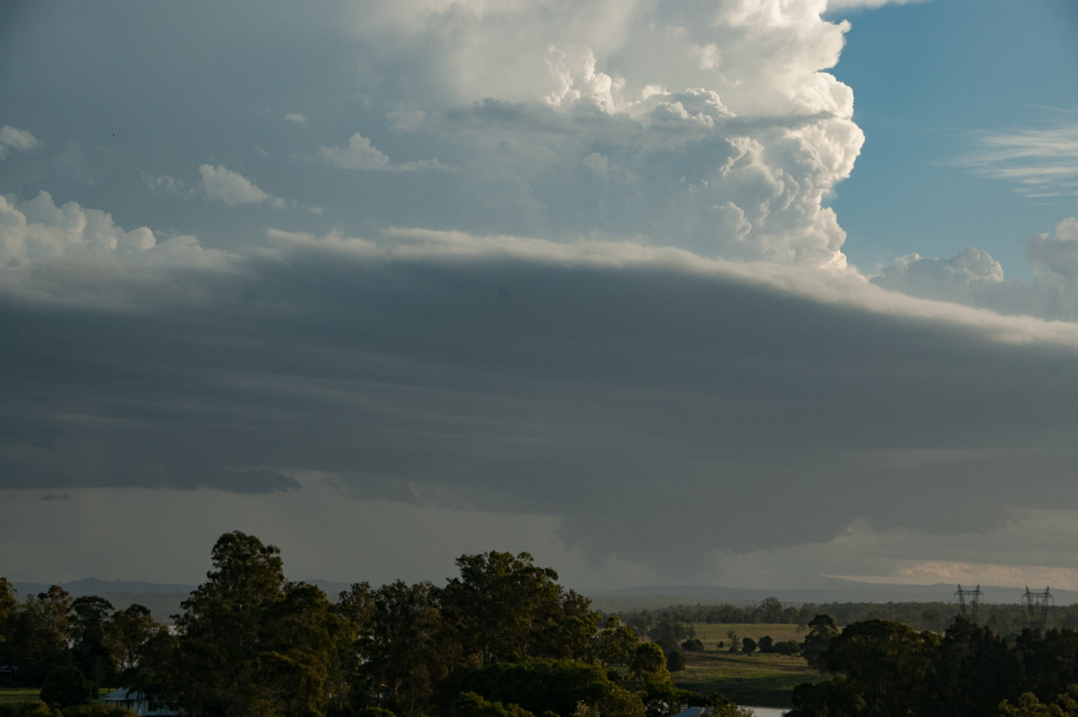 cumulonimbus thunderstorm_base : Junction Hill, NSW   15 March 2009