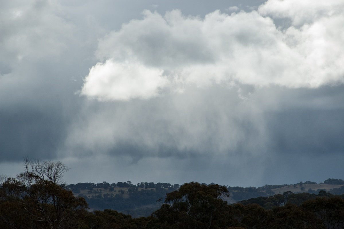 raincascade precipitation_cascade : Ben Lomond, NSW   15 July 2009