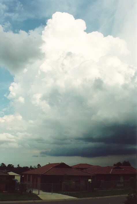 thunderstorm cumulonimbus_calvus : Oakhurst, NSW   12 February 1992