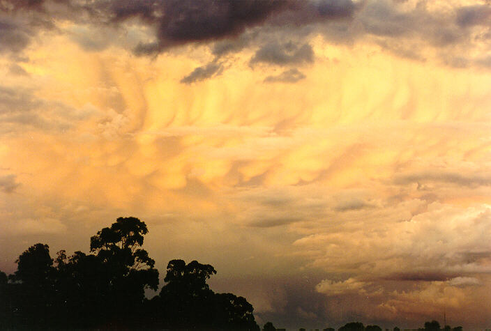 sunset sunset_pictures : Oakhurst, NSW   28 March 1993