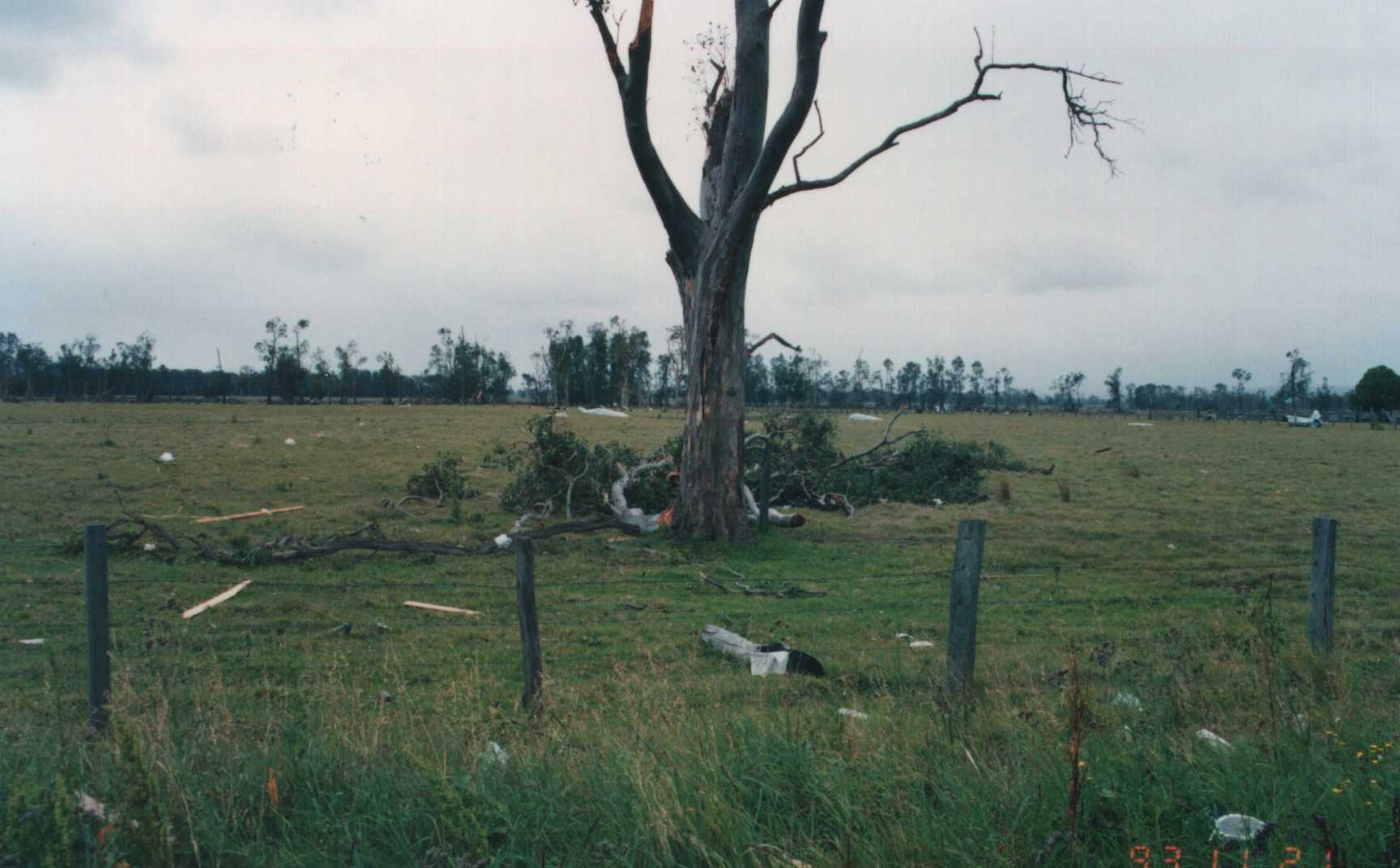 disasters storm_damage : Tucabia, NSW   20 November 1993