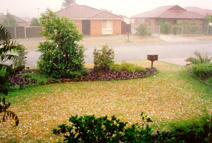 precipitation precipitation_rain : Oakhurst, NSW   1 February 1994