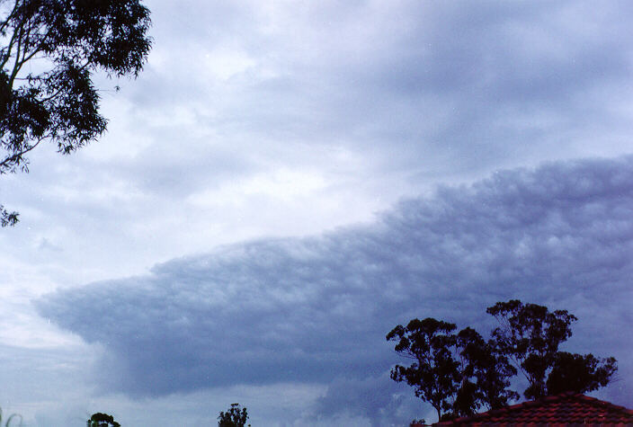 altocumulus altocumulus_cloud : Oakhurst, NSW   2 February 1994