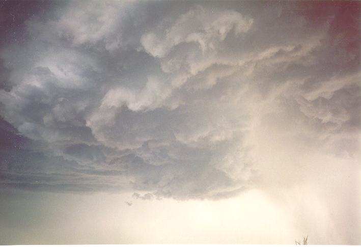 cumulonimbus thunderstorm_base : Riverstone, NSW   1 January 1995