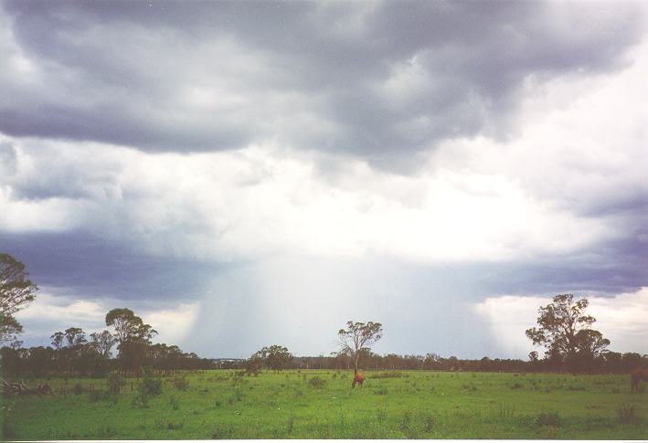 cumulonimbus thunderstorm_base : Rooty Hill, NSW   6 January 1995