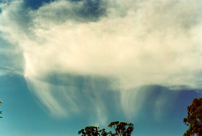virga virga_pictures : Oakhurst, NSW   11 February 1995