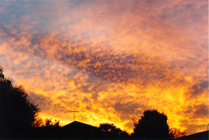 altocumulus altocumulus_cloud : Oakhurst, NSW   26 February 1995
