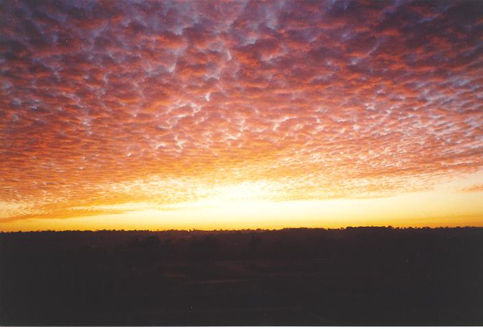 sunrise sunrise_pictures : Schofields, NSW   21 July 1995