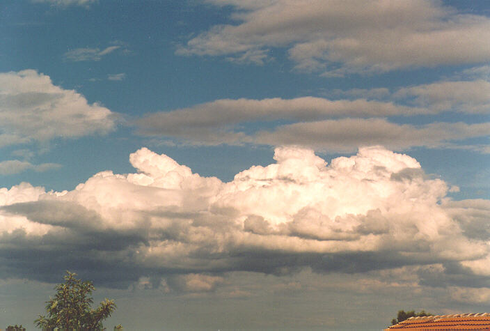 cumulus mediocris : Oakhurst, NSW   19 September 1995