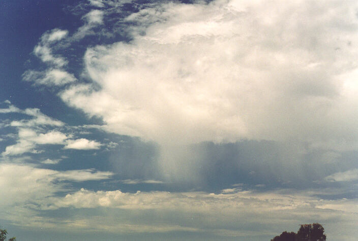 altocumulus altocumulus_cloud : Oakhurst, NSW   1 October 1995