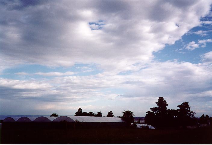 altocumulus altocumulus_cloud : Quakers Hill, NSW   13 October 1995