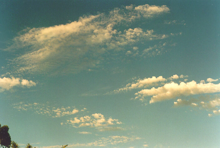 altocumulus altocumulus_cloud : Oakhurst, NSW   27 November 1995