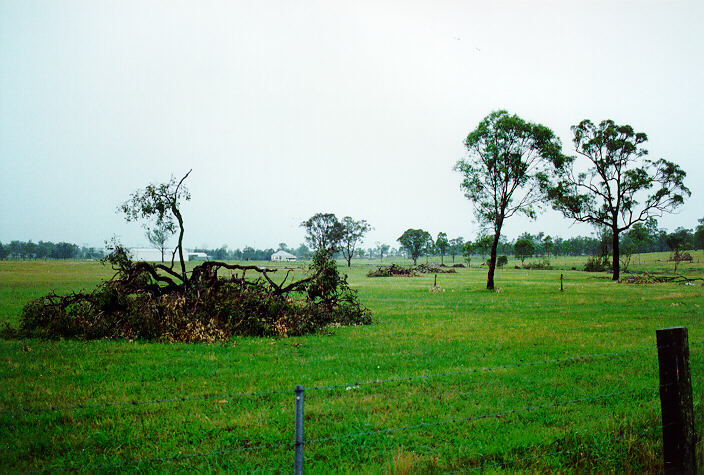disasters storm_damage : Maitland, NSW   10 December 1995