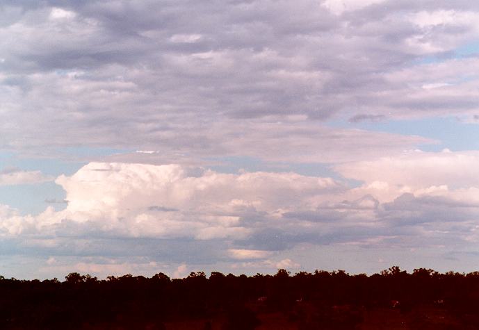 altocumulus altocumulus_cloud : Schofields, NSW   9 November 1996
