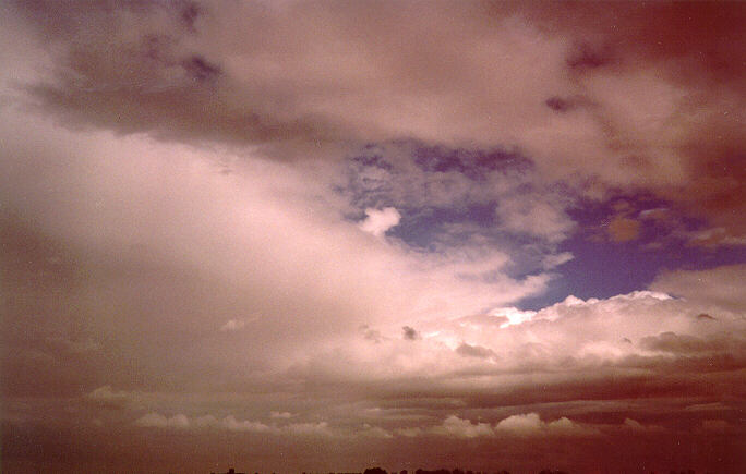 altocumulus altocumulus_cloud : Schofields, NSW   18 November 1996
