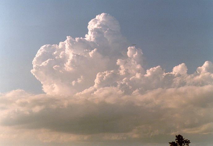stratocumulus stratocumulus_cloud : Freemans Reach, NSW   4 December 1996