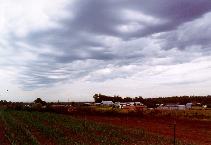 altocumulus altocumulus_cloud : Schofields, NSW   23 December 1996